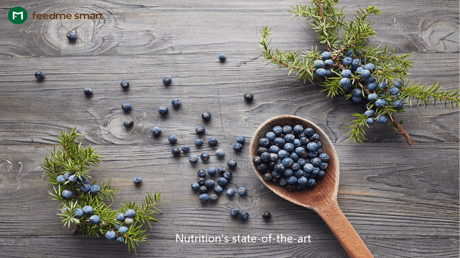 Juniper Berries Benefits For Blood Sugar and More